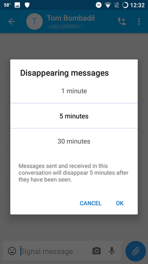 Signal Tb disappearing messages options.png